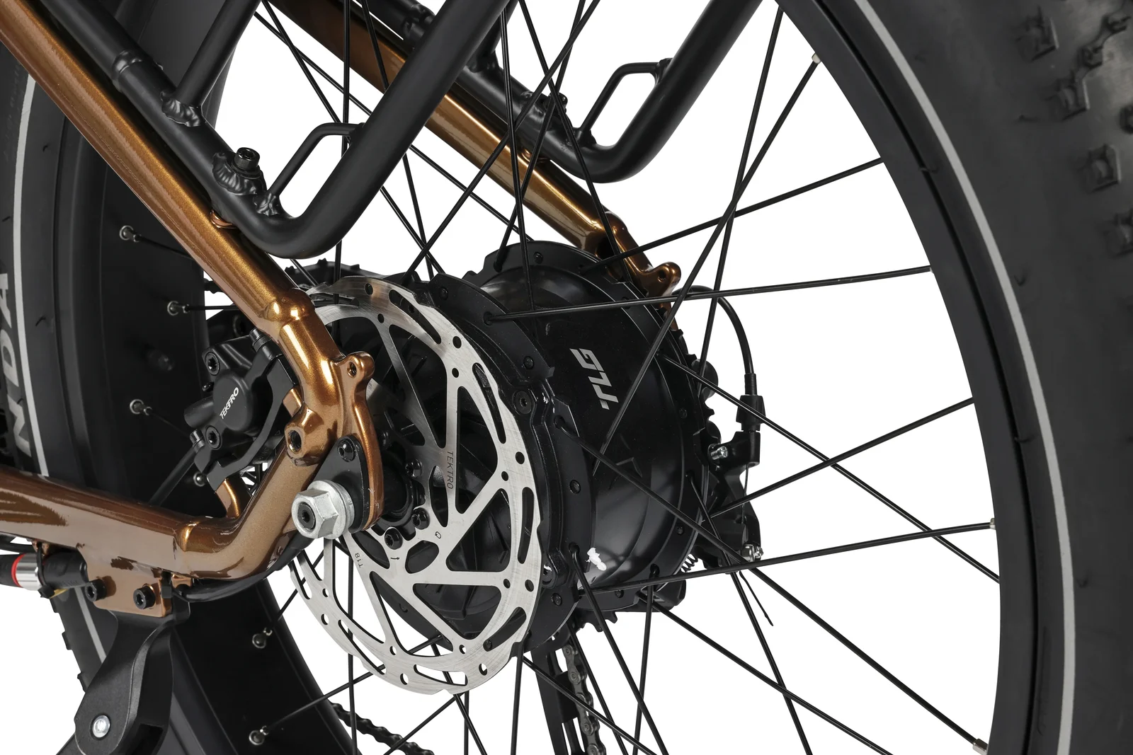 TLG AmpTrail - Image index.index1