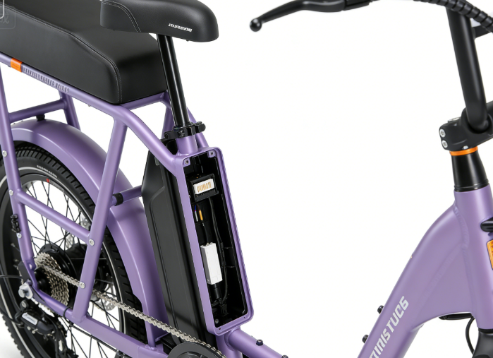 RadRunner 2 Plus Electric Folding Bike - Image index.index1